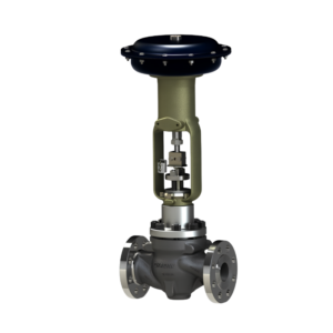 2002  Cage-Guided Control Valve